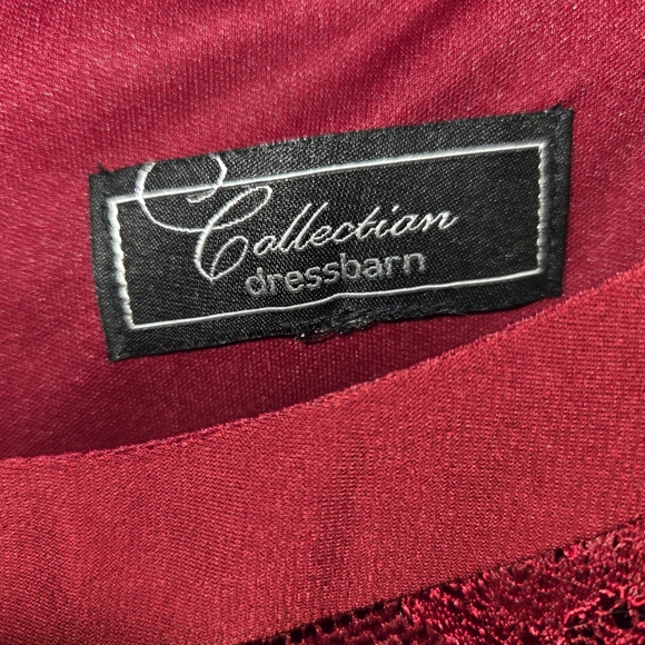 Dress Barn 22 Plus Size Red Lace A Line Cocktail Party Holiday Dress GUC - Picture 4 of 12